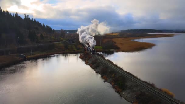 Historic Old steam touristic locomotive train with a wagons rides going in green forest. there is black grey smoke. Russia, Karelia, Sortavala. Flying over. Aerial view. Drone is standing — Stock Video