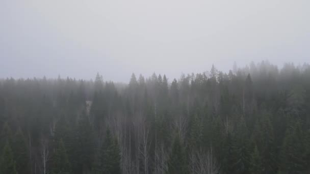 Voando através das nuvens acima dos cumes das montanhas. Altos picos manhã maravilhosa nascer do sol paisagem natural — Vídeo de Stock