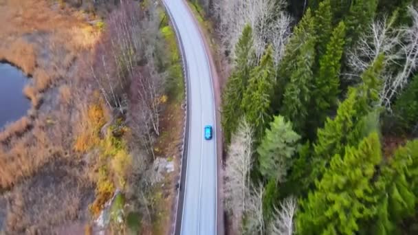 Aerial, tilt, drone shot, following a car, on a dark, asphalt road, between pine trees and leafless, birch forest, sun flares, on a sunny autumn day, in Juuka, North Karelia — Stock Video