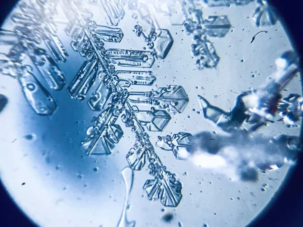 Νιφάδα Πάγου Κρύσταλλο Αστρική Δενδρίτης Κάτω Από Μικροσκόπιο — Φωτογραφία Αρχείου
