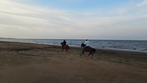 Um homem de roupas pesadas monta um cavalo na areia — Vídeo de Stock