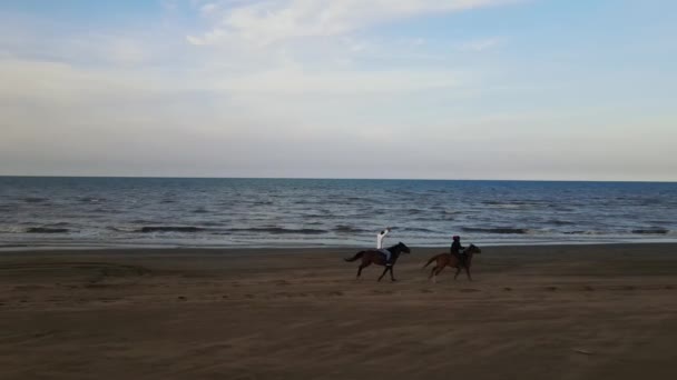 Um homem de roupas pesadas monta um cavalo na areia — Vídeo de Stock