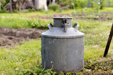 Sağlıklı meyveler. Yaban mersininin siyah tahtadaki en üst görüntüsü