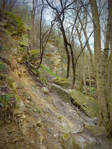 Paysage Montagneux Avec Forêt Rochers Intacts Pierres Couvertes Mousse Verte — Photo