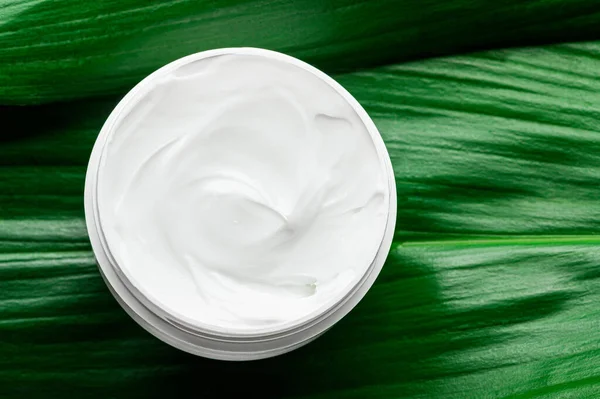 Moisturizing white cream in plastic jar on greenery top view. Organic cosmetics for moisturizing and nourishing the skin of the face, hands. Body creme with natural ingredients,eco-friendly packaging.