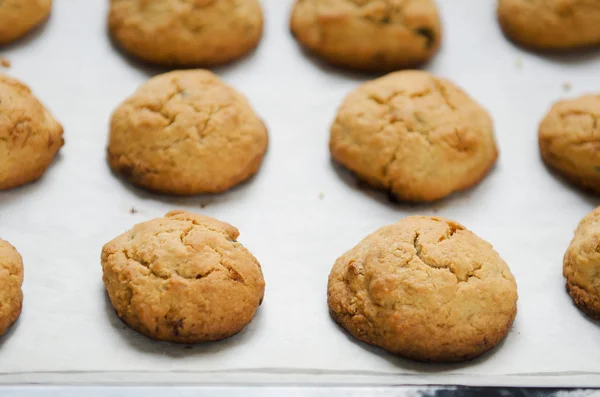 Biscotti di farina d'avena su carta da forno — Foto Stock