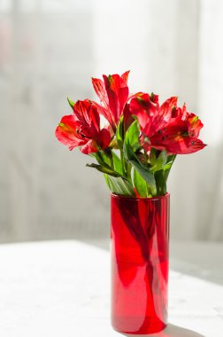 Vazoda beyaz masada kırmızı alstroemeria buket
