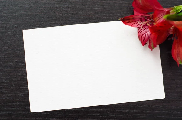 Tarjeta de felicitación blanca con flor sobre fondo negro — Foto de Stock