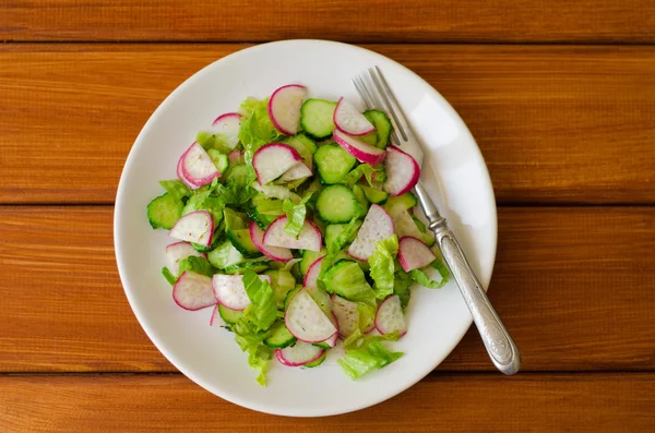 Radish salad with cucumber and herbs olive oil — Stock Photo, Image