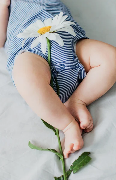 Pernas de bebê com uma flor — Fotografia de Stock