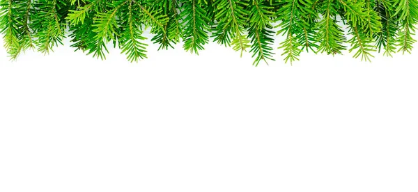 白い背景に新鮮なモミの枝で配置されたクリスマスの国境 クリスマス 新年の背景 — ストック写真