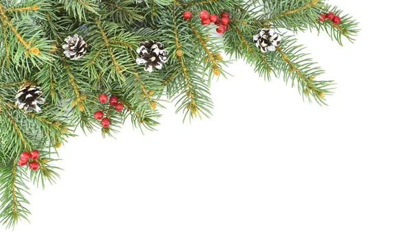 緑のモミの枝、赤い果実と白い背景に隔離されたコーンとクリスマスの組成、テキストのためのスペース. — ストック写真