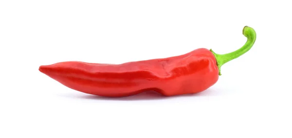 Červený Chilli Pepř Izolované Bílém Pozadí Sklizeň — Stock fotografie