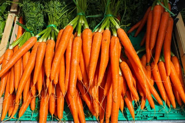 Leuchtend orange Karotte Stockbild