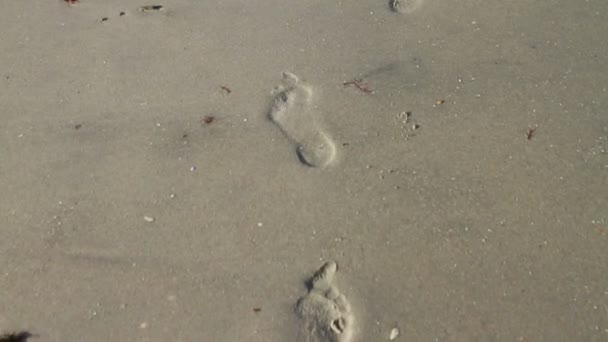 Voetafdrukken in het zand — Stockvideo
