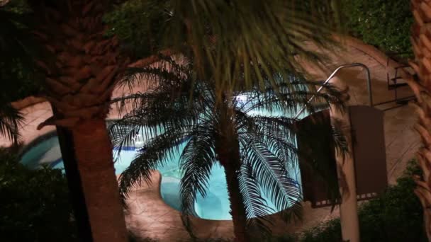 游泳池、 棕榈树 — 图库视频影像