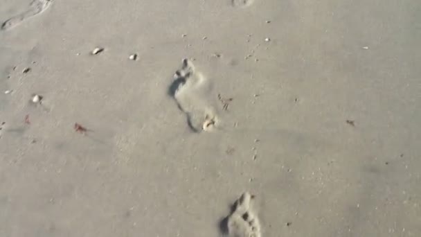 Foot Prints In The Sand — Stock Video