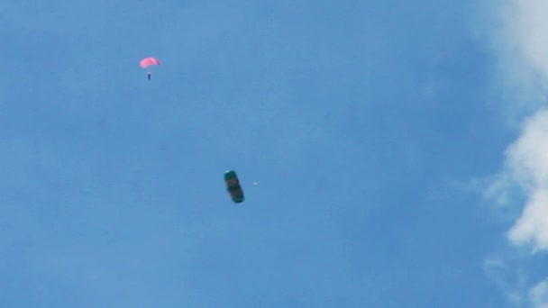 Kit voador no céu — Vídeo de Stock
