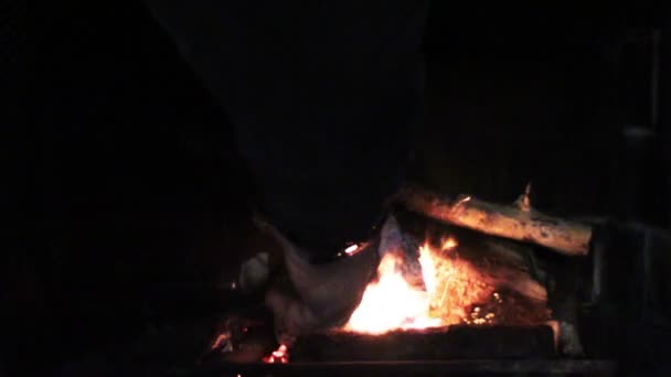 Feeding Fire In Fireplace — Stock Video