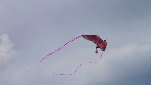 Vliegende kit in lucht — Stockvideo