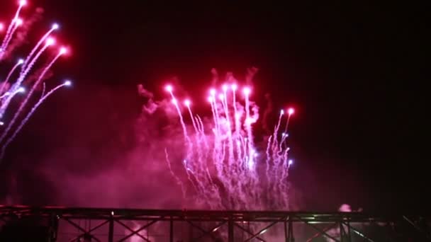 Fuochi d'artificio colorati — Video Stock