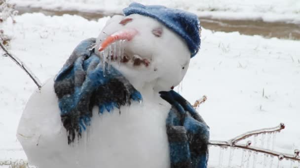 Hombre de nieve, tormenta de hielo, hielo — Vídeos de Stock