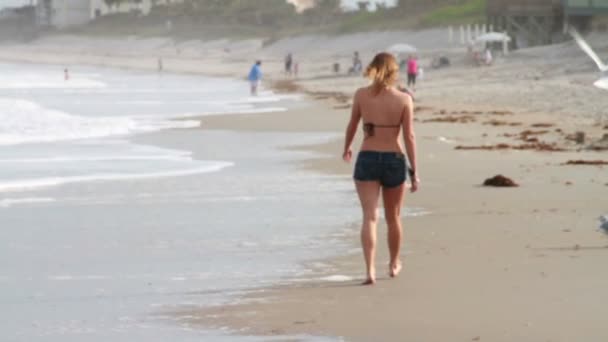 Frau geht am Strand spazieren — Stockvideo