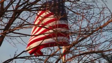 Ağaç tarafından ABD Amerikan bayrağı