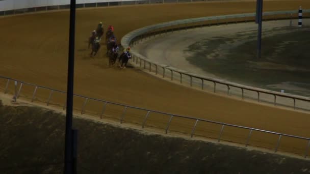 Konie w wyścigu w dół toru — Wideo stockowe