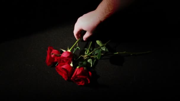 Χέρι λάβει τριαντάφυλλα — Αρχείο Βίντεο