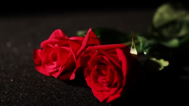 Hand take roses — Stock Video