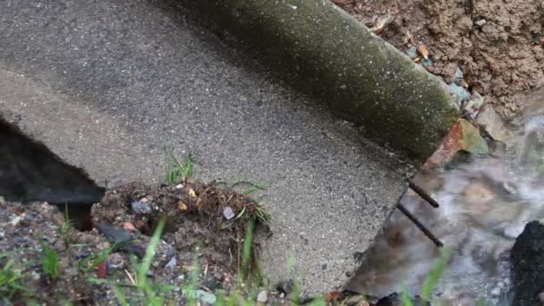 Gamla förstörda bron med floden — Stockvideo