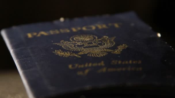 Pasaporte de Estados Unidos de América — Vídeo de stock