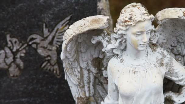 Grabstein auf Friedhof im Winter — Stockvideo