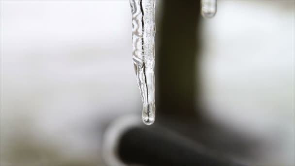 冰柱融化 — 图库视频影像