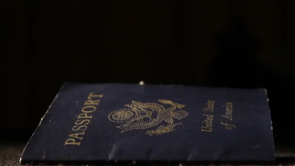 Pasaporte de Estados Unidos de América — Vídeo de stock