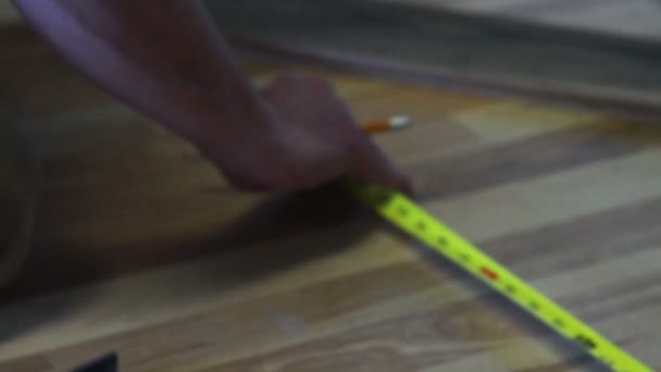 Measuring Hardwood Oak — Stock Video