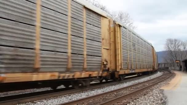 Tren de paso con sonido — Vídeo de stock