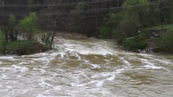 Fluss bei Hochwasser überflutet — Stockvideo