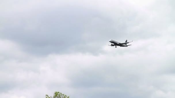 樱花上空飞行的飞机 — 图库视频影像
