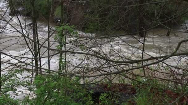 Fluss bei Hochwasser überflutet — Stockvideo