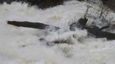 hızlı hareketli Nehri