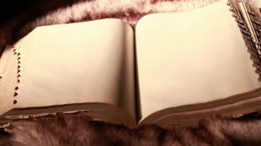 Antik dev kitap