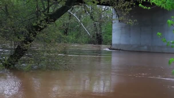Río en la etapa de inundación Inundación — Vídeos de Stock
