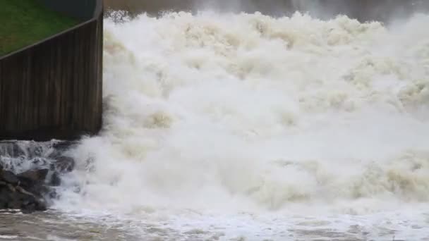 Snabbt rörliga floden på dammen — Stockvideo