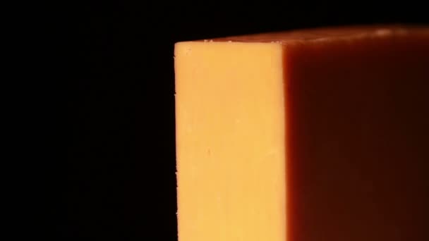 Cheddar Cheese being Cut — Stock Video