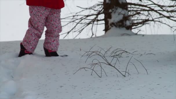 Niño perdido en el bosque — Vídeo de stock