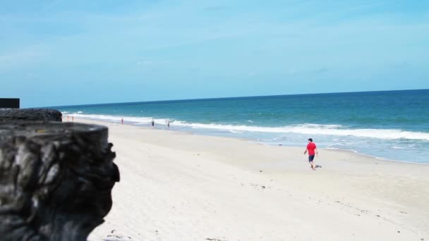 Mann läuft am Strand entlang — Stockvideo