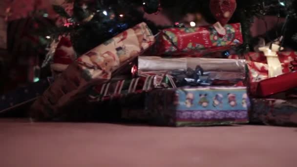 Presents Under the Tree — Stock Video