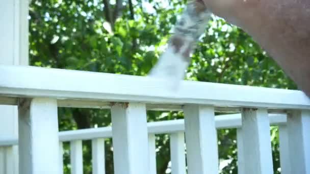 Painting wooden deck — Stock Video